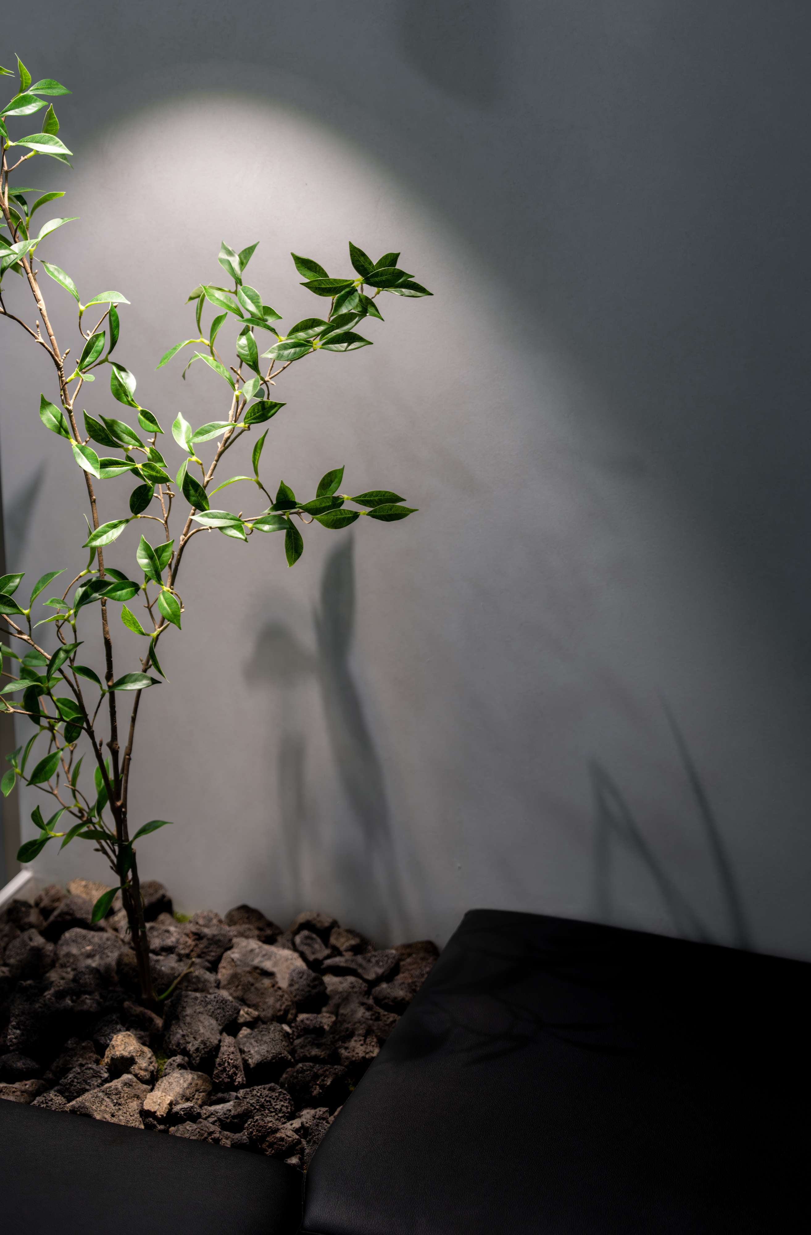 Woonik — 32-1